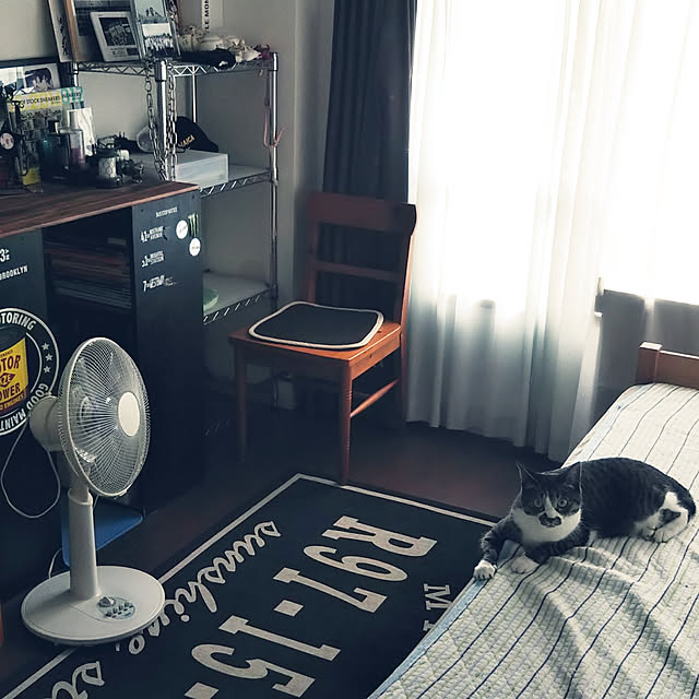 shinoさんの実例写真