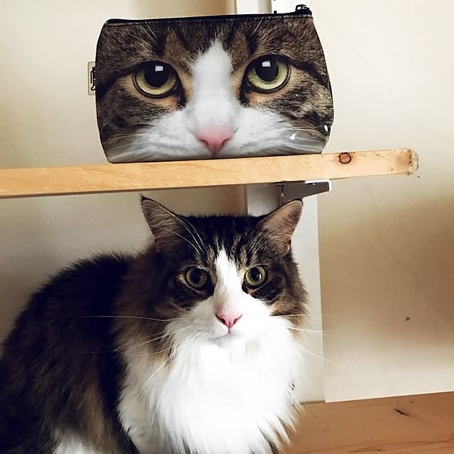 neco7さんの実例写真