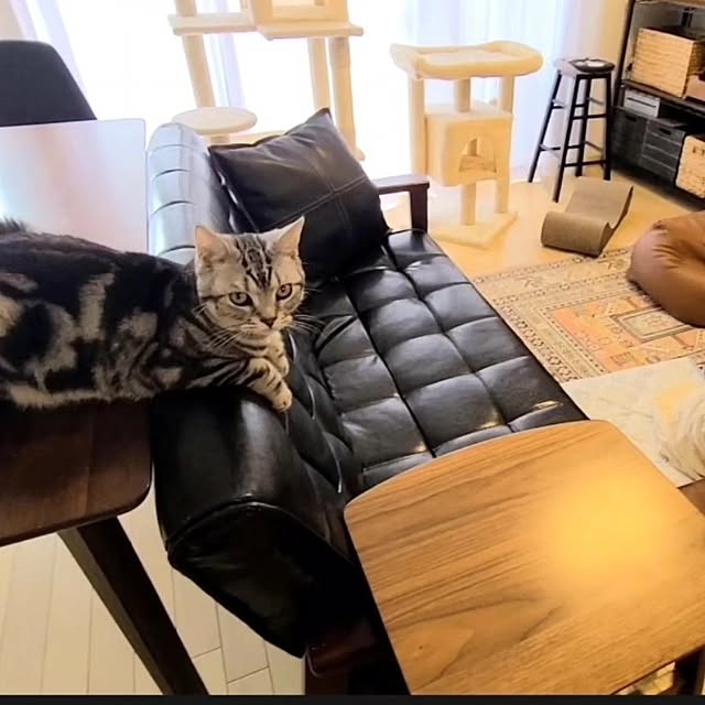lovepeaceさんの実例写真