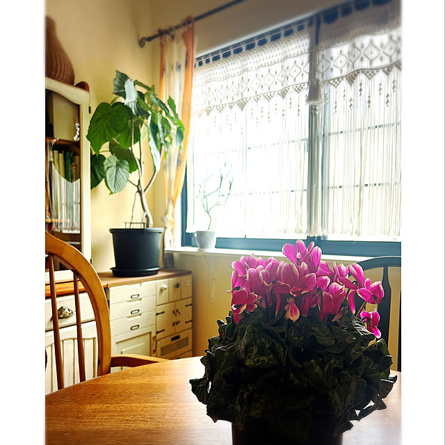 syungikuさんの実例写真