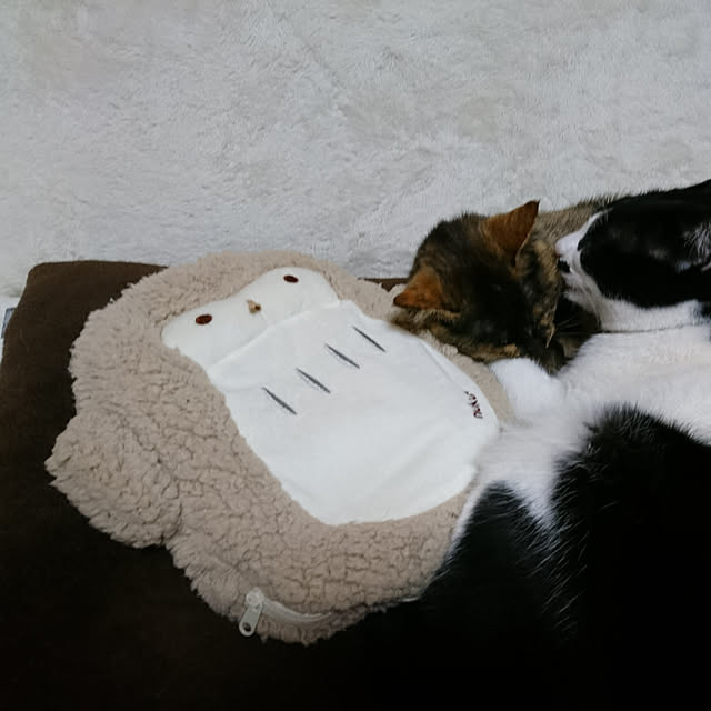 haruさんの実例写真