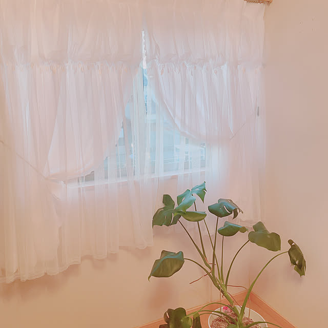 Blue_moonさんの部屋