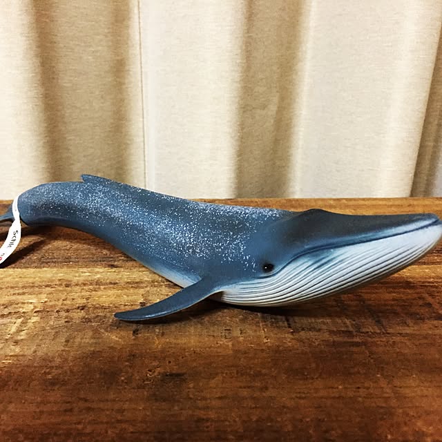 izumiさんの実例写真