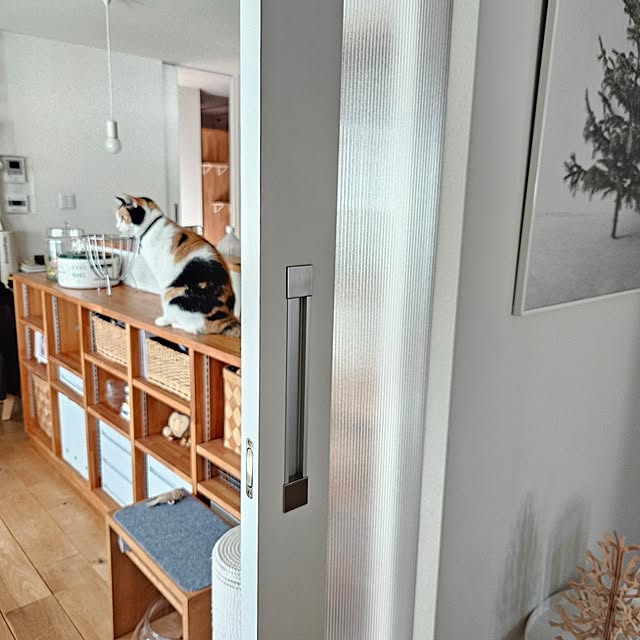 koyurizuさんの部屋