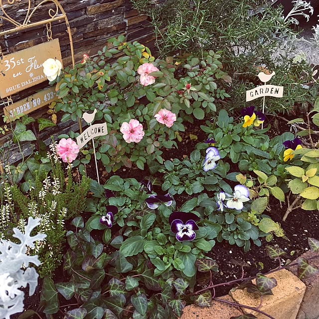 roseさんの実例写真