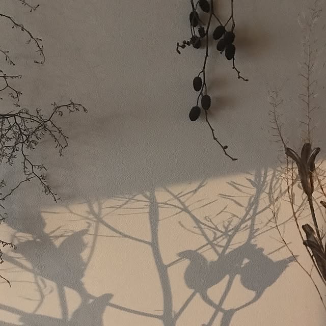 tocoriさんの実例写真