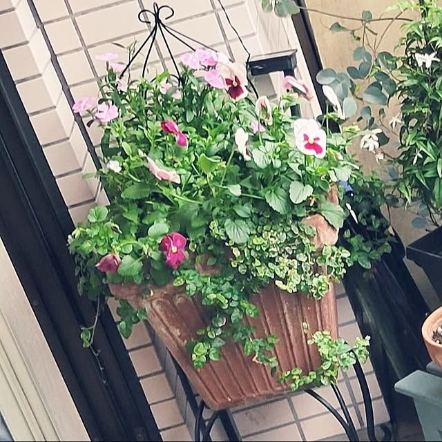 berryberryさんの部屋