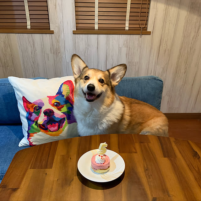 nicoさんの実例写真