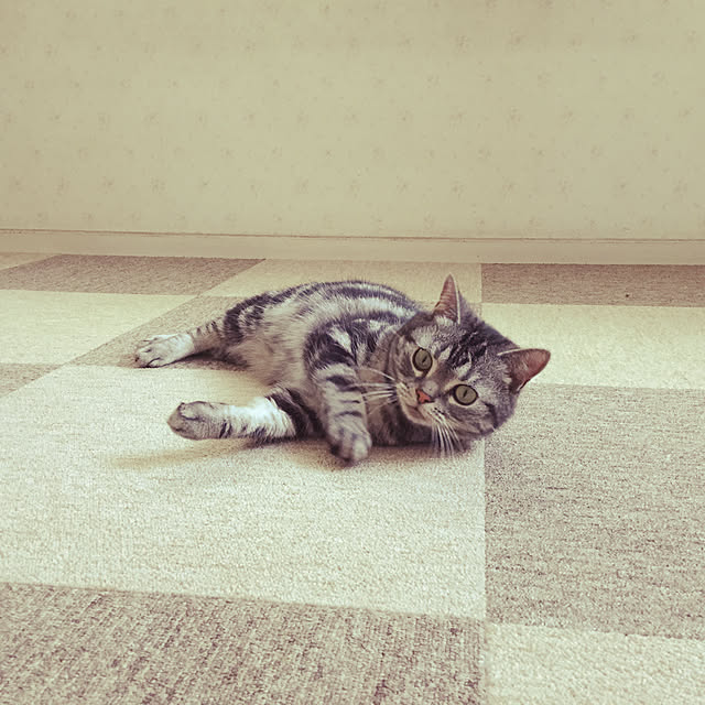 richanさんの実例写真