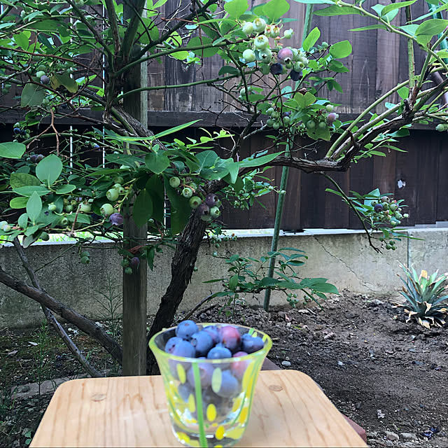 HAさんの実例写真