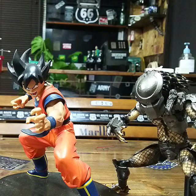 実例写真