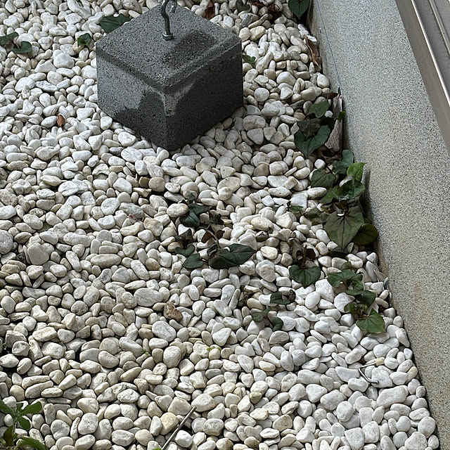 junaさんの実例写真