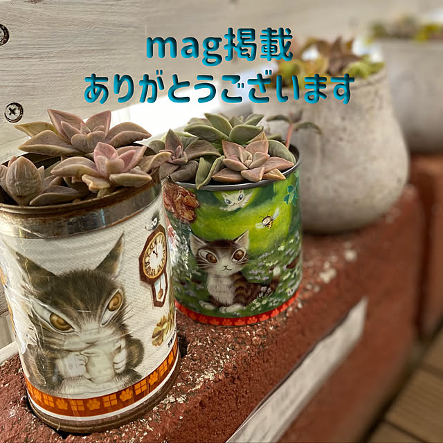 mamiさんの実例写真