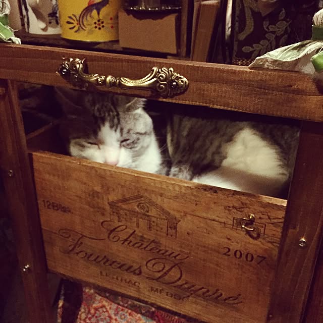 emmyyさんの実例写真