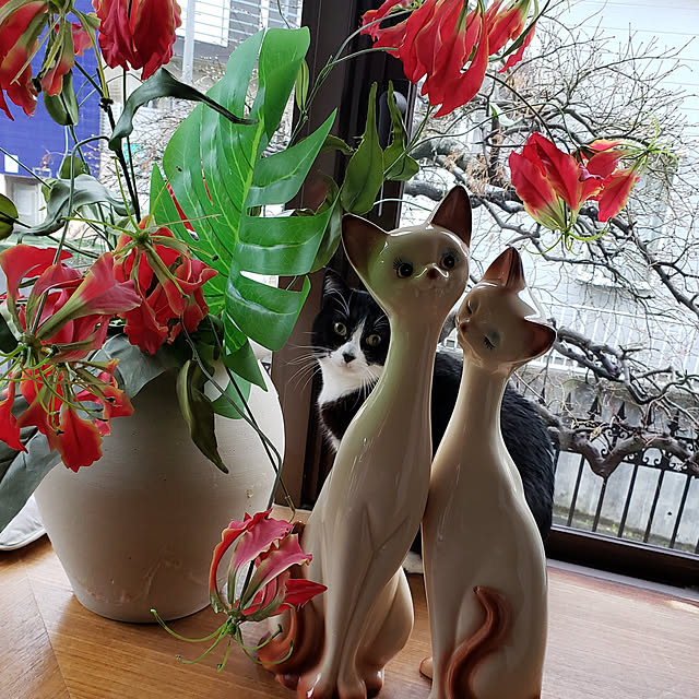 Mayumi8888さんの実例写真