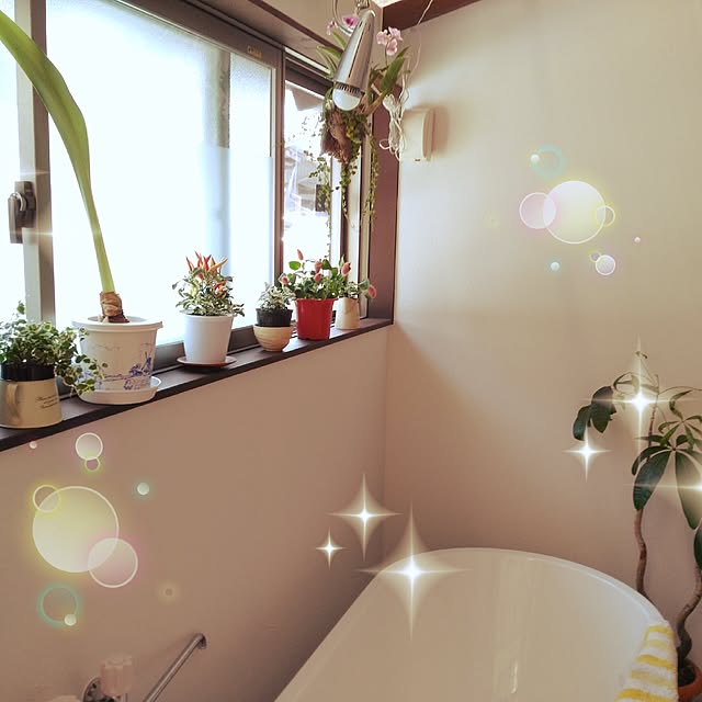 naomin301さんの実例写真