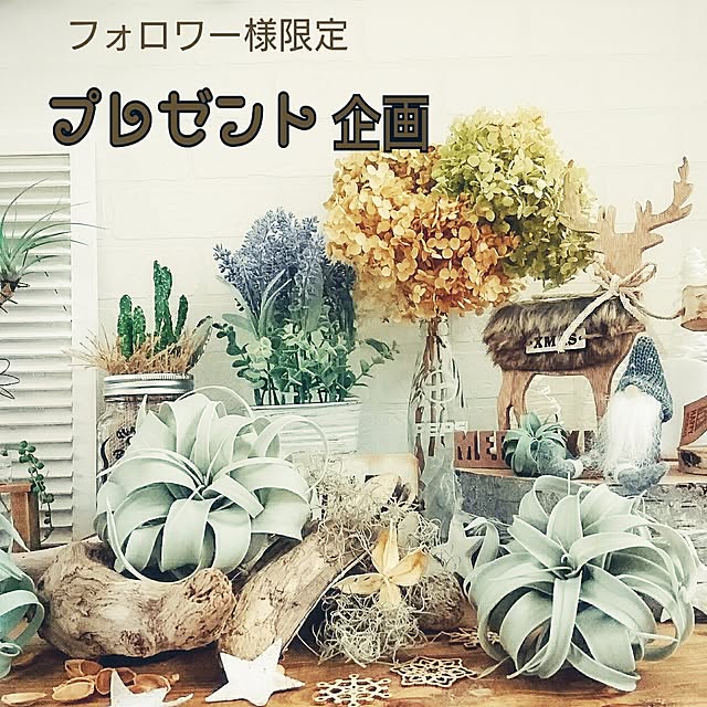 mamimamipockyさんの実例写真
