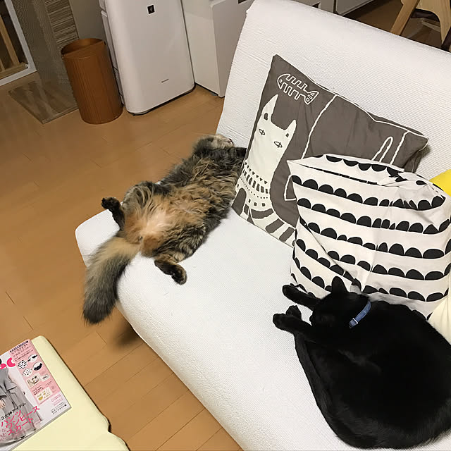 yuki0511さんの実例写真