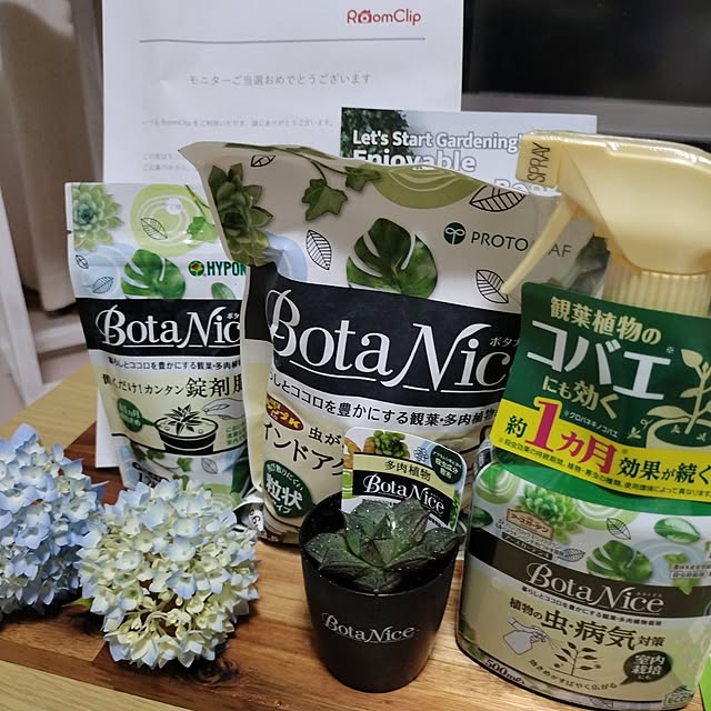 棚/観葉植物/多肉植物/植物のある暮らし/虫対策...などのインテリア実例 - 2024-06-04 21:14:53