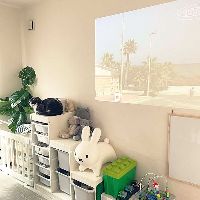 tansukeさんの部屋