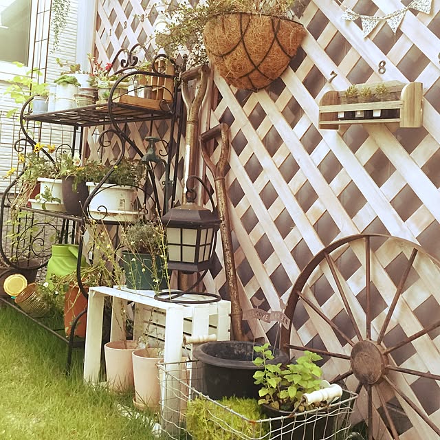 kumachanさんの実例写真