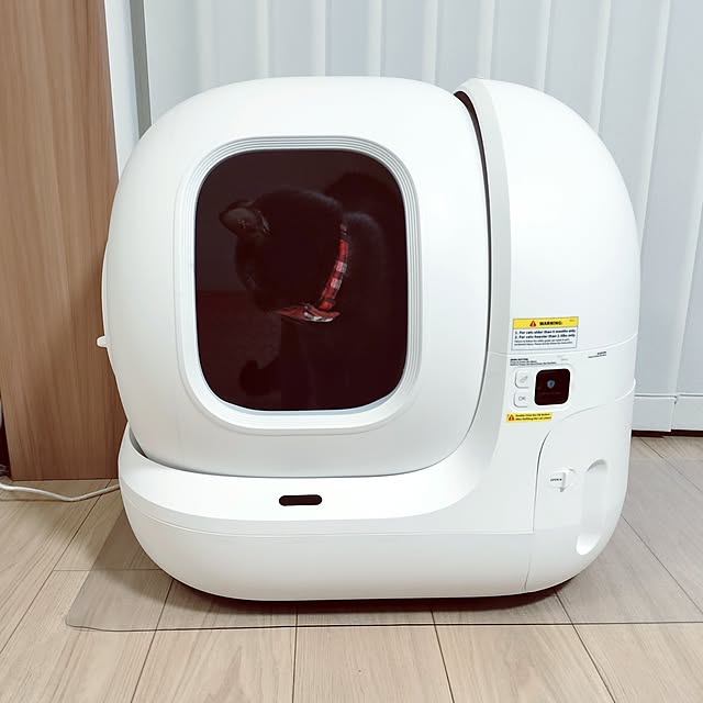 sakuraさんの部屋