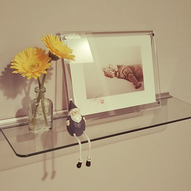 hanacocoさんの実例写真