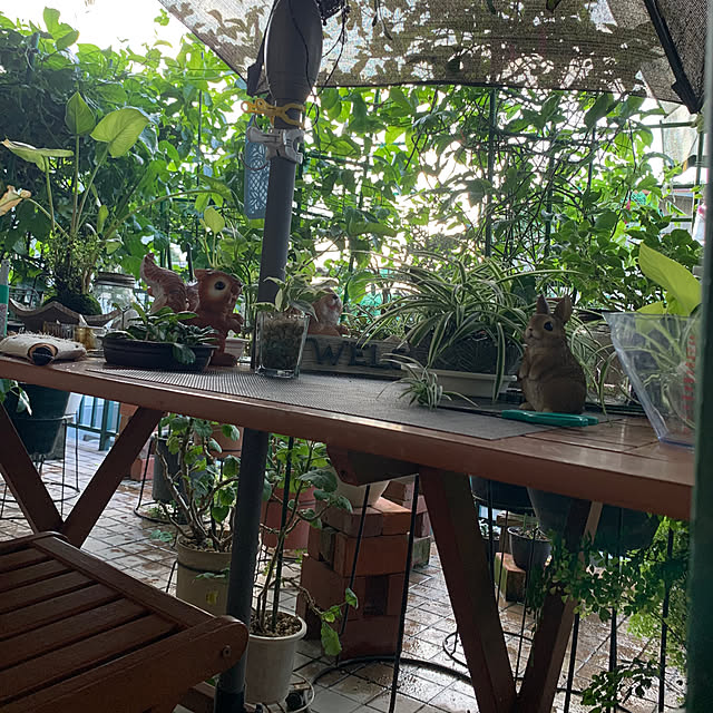 Aqettyさんの部屋