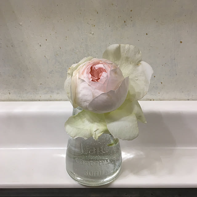 pisaさんの実例写真