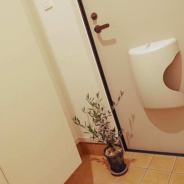 haruさんの実例写真