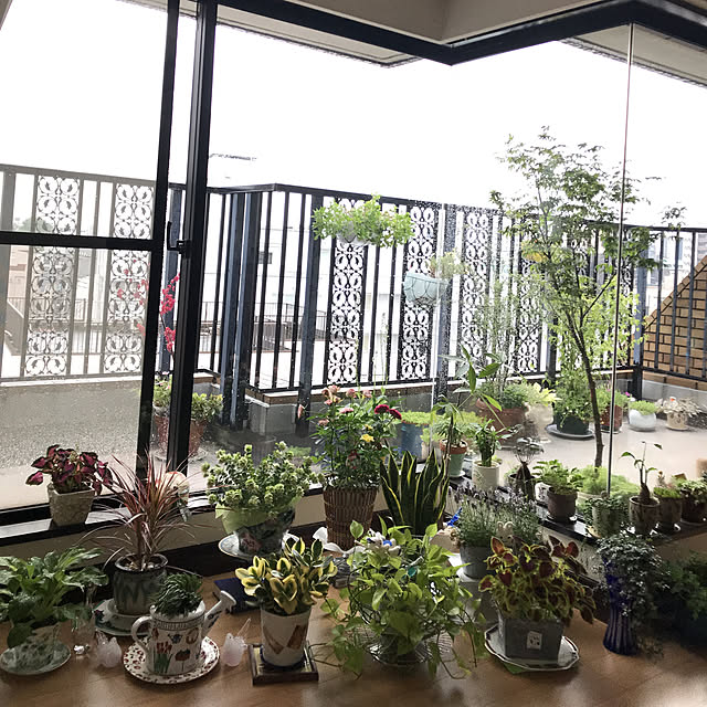 fuyiqian1026さんの実例写真