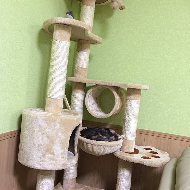 mako-cchinさんの実例写真