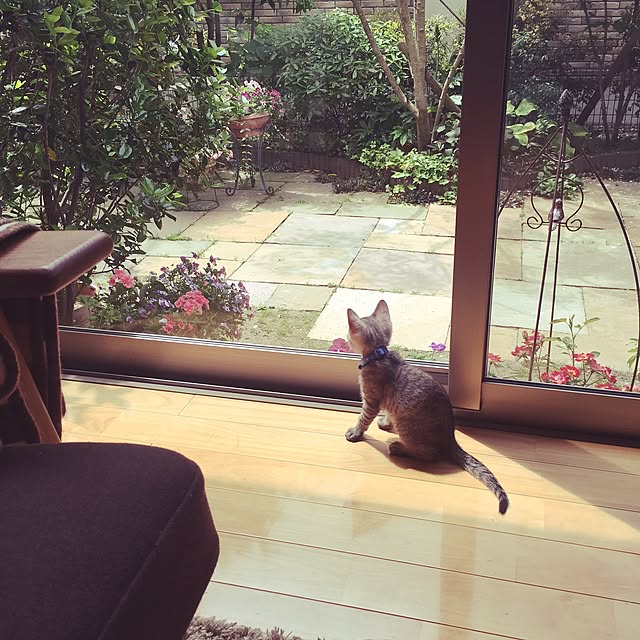 Bambiさんの実例写真