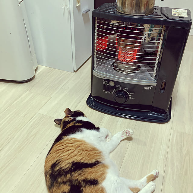noriさんの実例写真