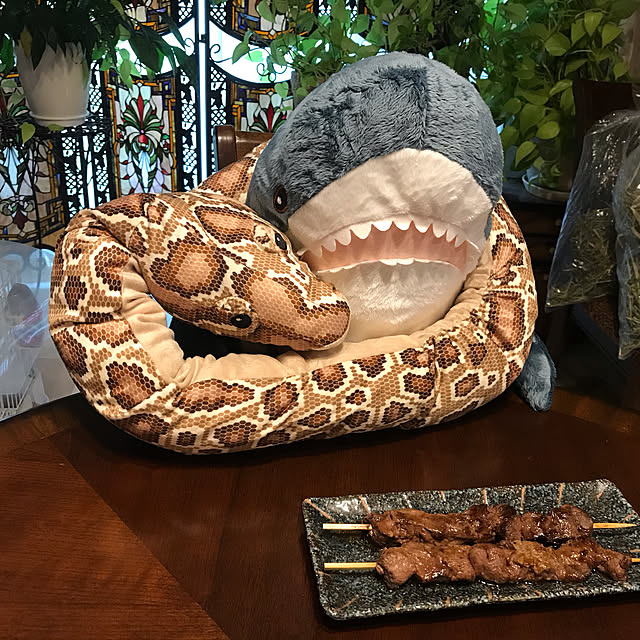 nonさんの実例写真