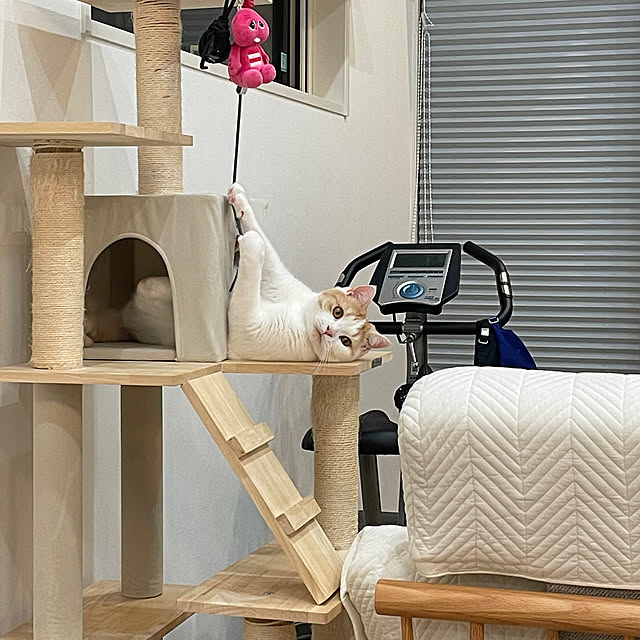 yumiさんの部屋
