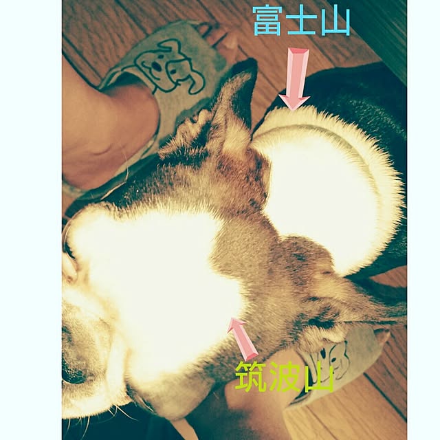 maiさんの実例写真