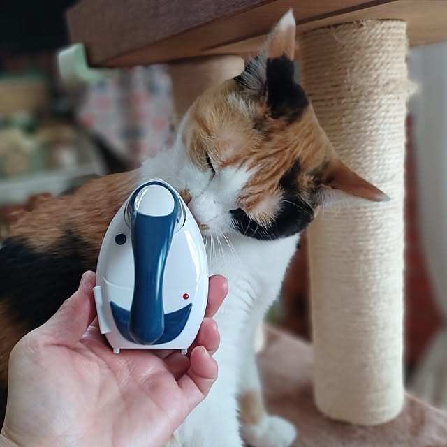 nanaさんの実例写真