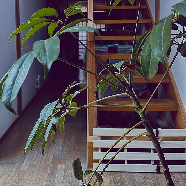 chacoさんの部屋