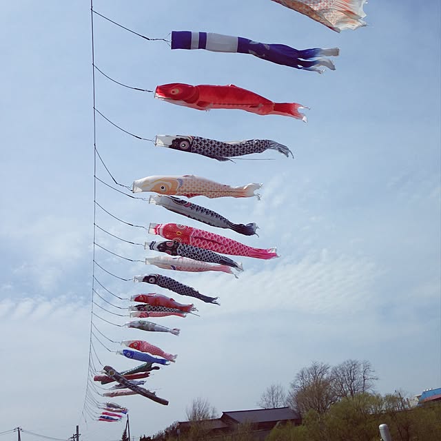 putycaさんの実例写真