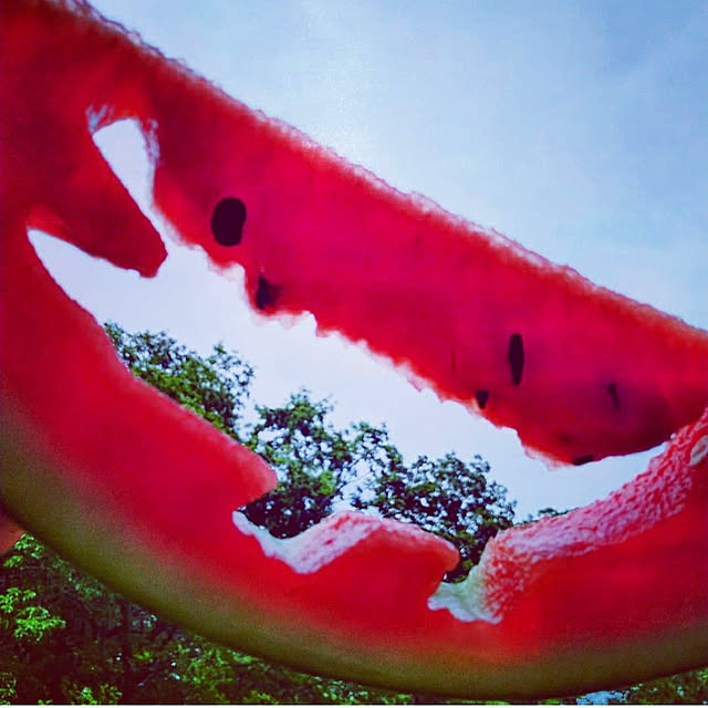 waniwaniさんの実例写真