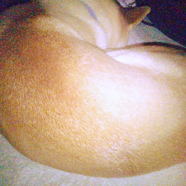 kotaさんの実例写真