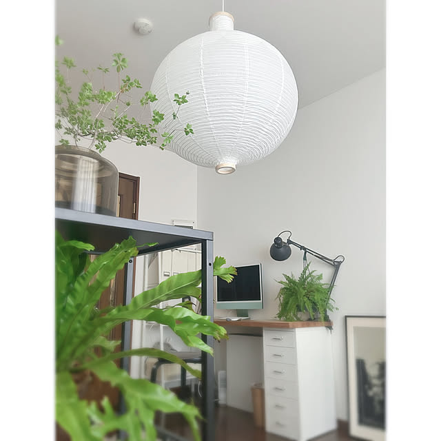 壁/天井/デスク周り/観葉植物/IKEA/一人暮らし...などのインテリア実例 - 2025-04-29 16:51:31