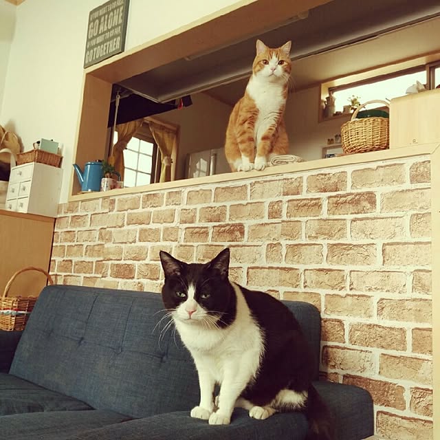 mi123さんの実例写真
