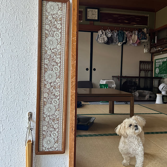 hahaさんの実例写真