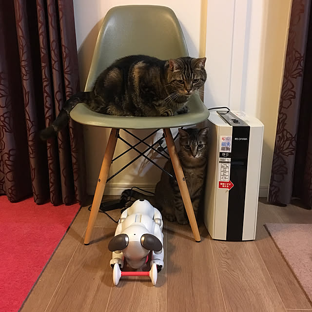 mikomaruさんの実例写真
