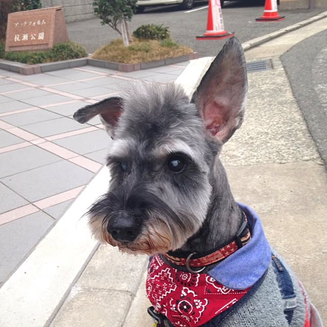 simple_blowbackさんの実例写真