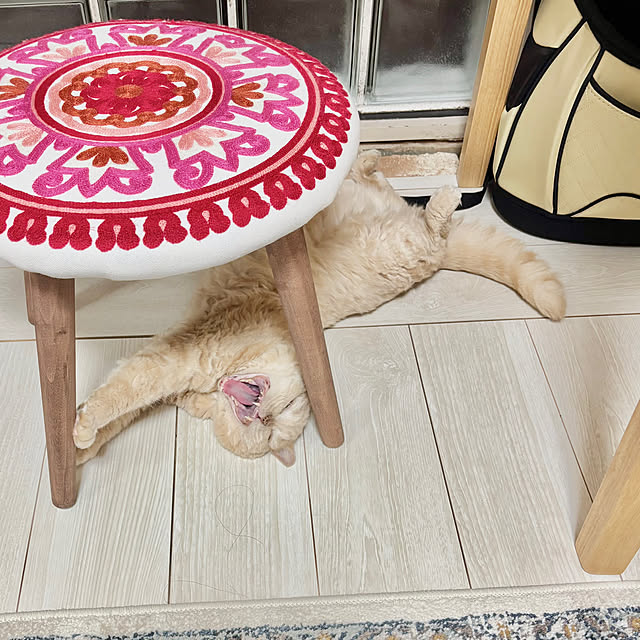 naokoさんの部屋