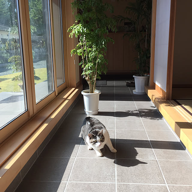 cherryさんの実例写真