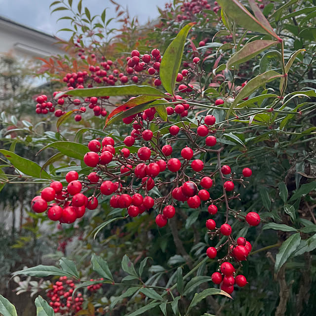 natsumiさんの部屋